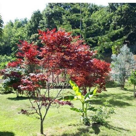 Istanti - Menta Lägenhet Costigliole Saluzzo Exteriör bild
