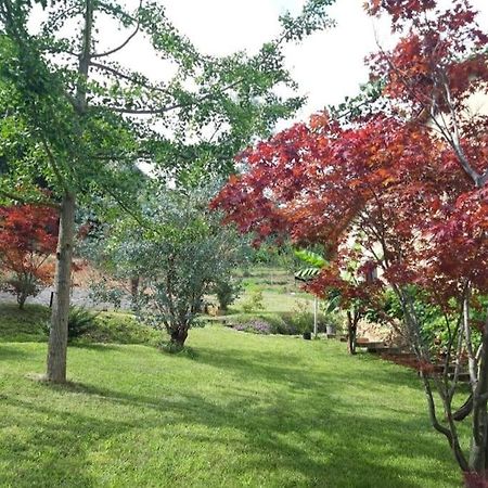 Istanti - Menta Lägenhet Costigliole Saluzzo Exteriör bild
