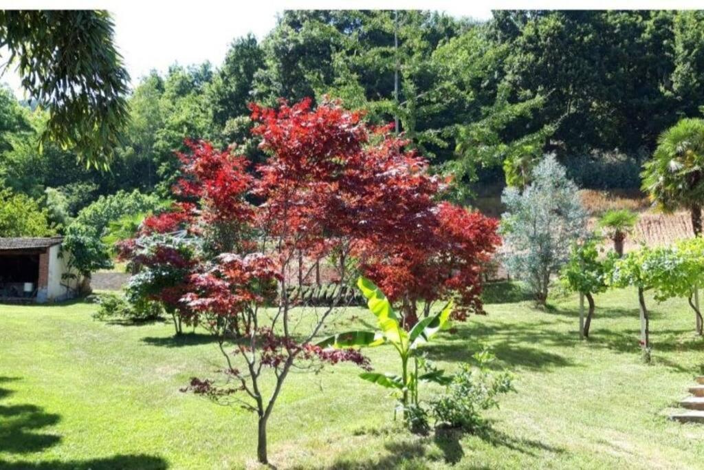 Istanti - Menta Lägenhet Costigliole Saluzzo Exteriör bild